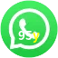 95y WhatsApp